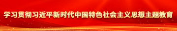 美女骚B学习贯彻习近平新时代中国特色社会主义思想主题教育