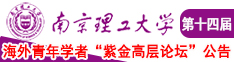 操逼黄书南京理工大学第十四届海外青年学者紫金论坛诚邀海内外英才！