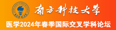 叼嘿操逼网站南方科技大学医学2024年春季国际交叉学科论坛